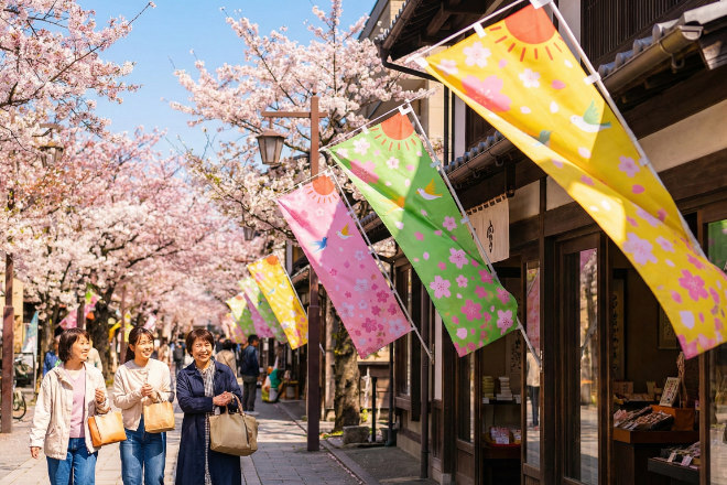 満開の桜並木の通りにある店舗の前に並ぶ、カラフルな春ののぼり旗