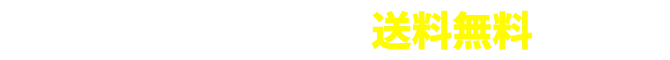 税込11,000円以上 送料無料