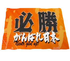 ビッグフラッグ