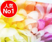 ターポリン人気No.1