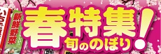 春特集 旬の のぼり