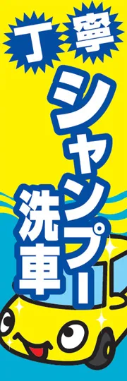 シャンプー洗車