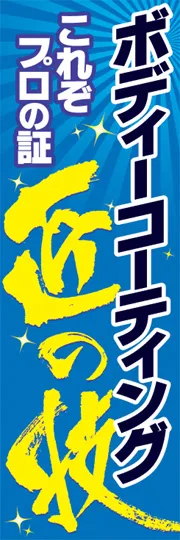 ボディーコーティング匠の技