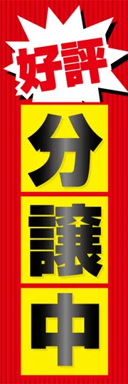 好評分譲中