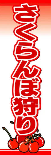 さくらんぼ狩り