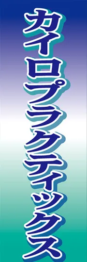 カイロプラクティックス