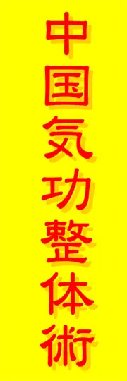 中国気功整体術