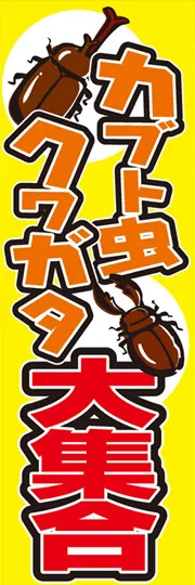 カブト虫・クワガタ大集合