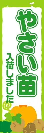 やさい苗入荷しました