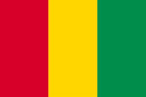 ギニアののぼり旗デザイン