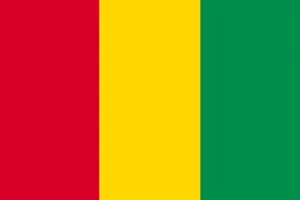 ギニアののぼり旗デザイン