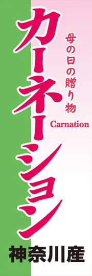 カーネーション