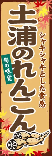 土浦のれんこん
