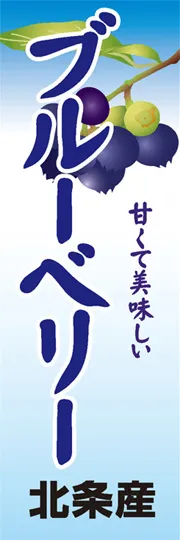 ブルーベリー