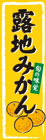 露地みかん