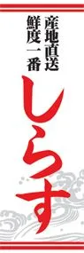 しらすののぼり旗デザイン