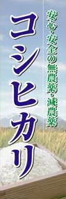 コシヒカリののぼり旗デザイン