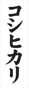 コシヒカリののぼり旗デザイン