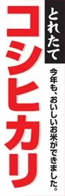 コシヒカリののぼり旗デザイン