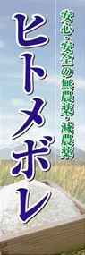 ヒトメボレののぼり旗デザイン
