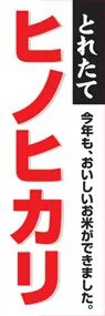 ヒノヒカリののぼり旗デザイン