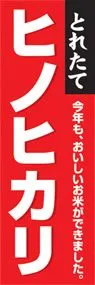 ヒノヒカリののぼり旗デザイン