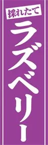 ラズベリーののぼり旗デザイン