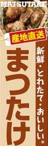 まつたけののぼり旗デザイン