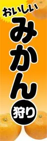 みかん狩りののぼり旗デザイン