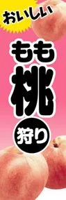 桃狩りののぼり旗デザイン