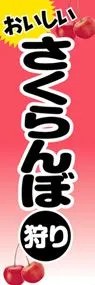 さくらんぼ狩りののぼり旗デザイン