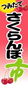 さくらんぼ市ののぼり旗デザイン