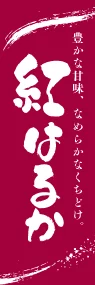 紅はるかののぼり旗デザイン
