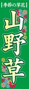 山野草ののぼり旗デザイン
