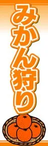 みかん狩りののぼり旗デザイン