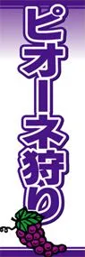 ピオーネ狩りののぼり旗デザイン
