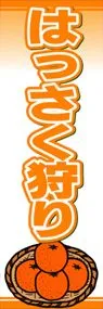 はっさく狩りののぼり旗デザイン