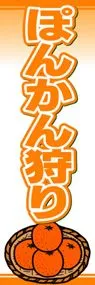 ぽんかん狩りののぼり旗デザイン