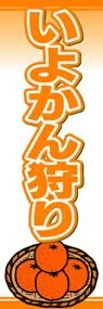 いよかん狩りののぼり旗デザイン