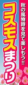 コスモスまつりののぼり旗デザイン