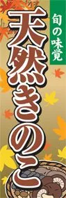 天然きのこののぼり旗デザイン