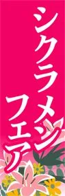 シクラメンフェアののぼり旗デザイン