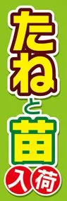 たねと苗1ののぼり旗デザイン