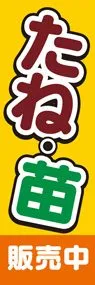 たねと苗2ののぼり旗デザイン