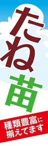 たねと苗3ののぼり旗デザイン