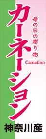 カーネーションののぼり旗デザイン