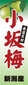 小坂梅ののぼり旗デザイン