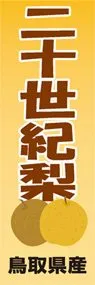 二十世紀梨ののぼり旗デザイン