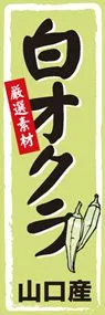 白オクラののぼり旗デザイン