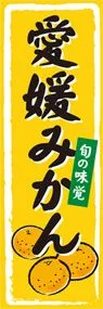愛媛みかんののぼり旗デザイン